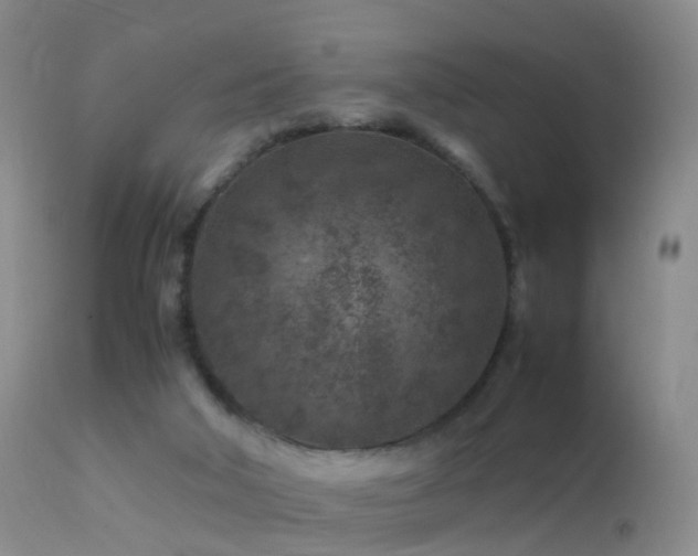 X0000112210018200908141509