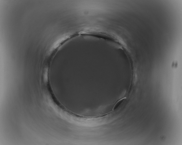 X0000112210019200908141509