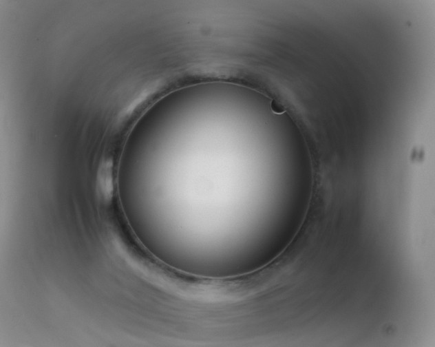 X0000112210020200908141509