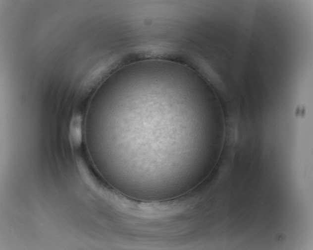 X0000112210022200908141509