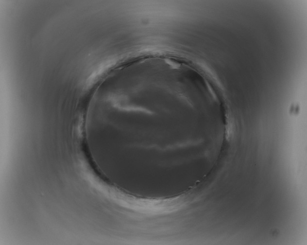 X0000112210023200908141509