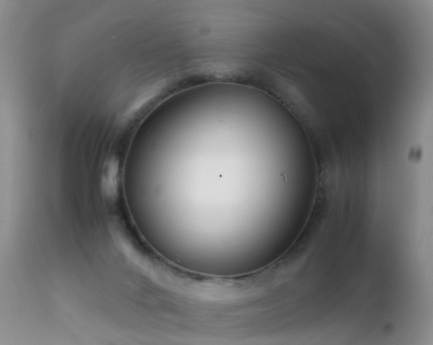 X0000112210024200908141509