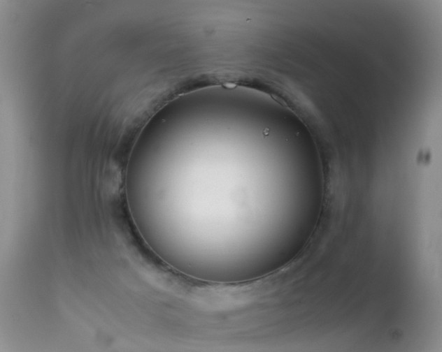 X0000112210025200908141509