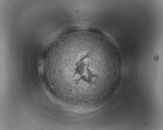 X0000112210026200908141509