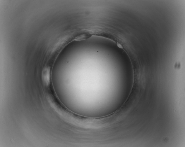 X0000112210028200908141509