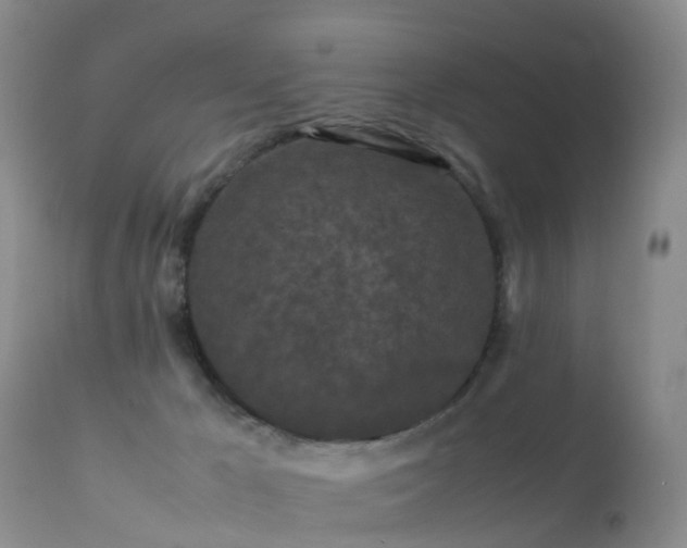 X0000112210029200908141509