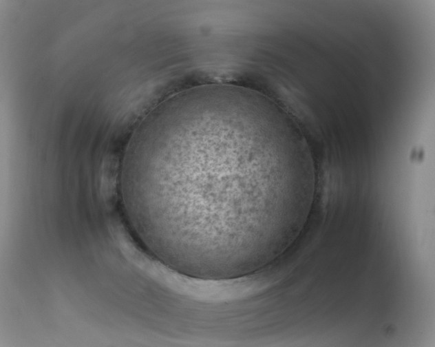 X0000112210030200908141508