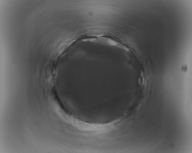 X0000112210031200908141508