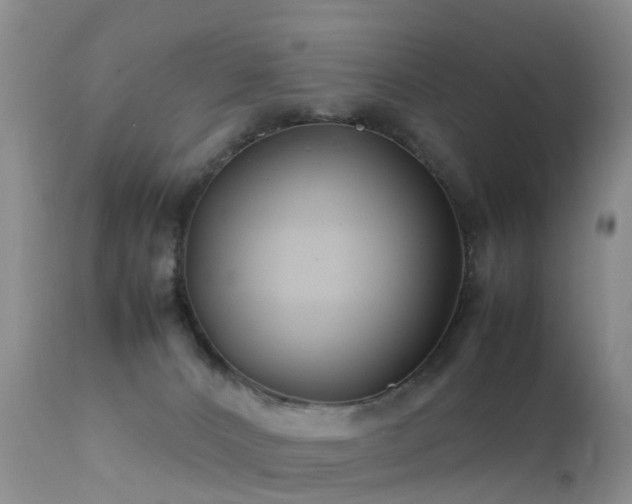 X0000112210032200908141508