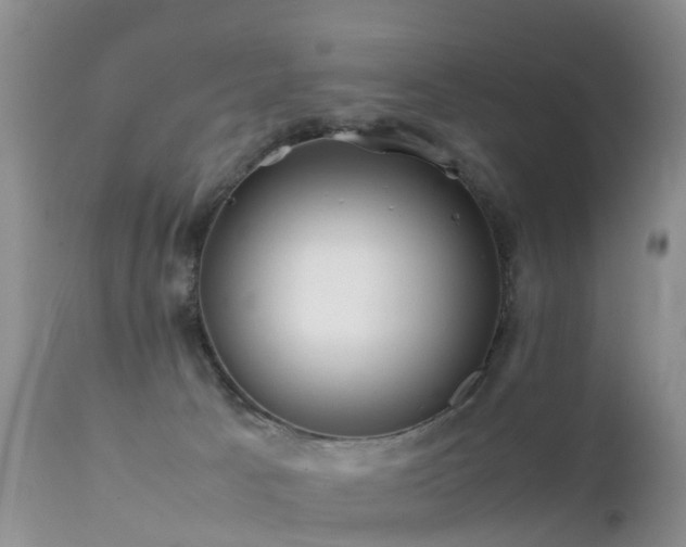 X0000112210033200908141508