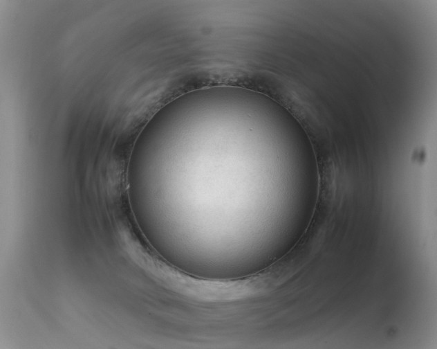 X0000112210034200908141508