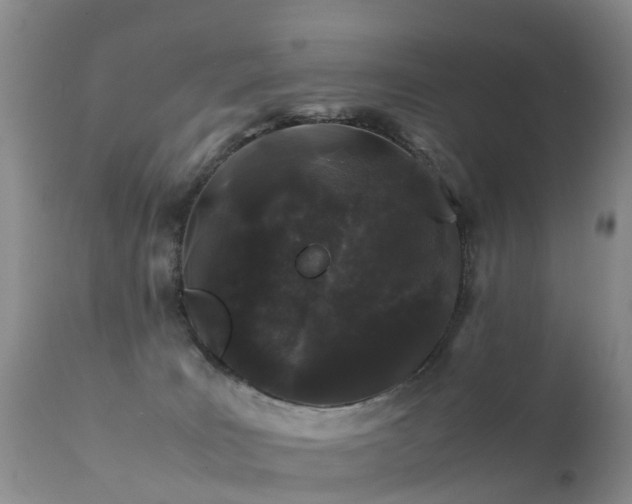 X0000112210035200908141508