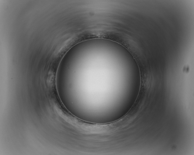 X0000112210036200908141508