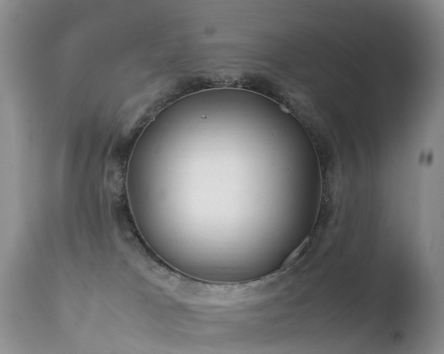 X0000112210037200908141508