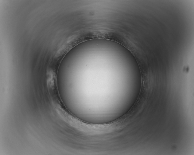 X0000112210038200908141508