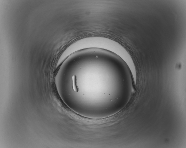 X0000112210039200908141508