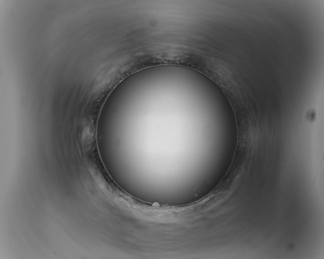 X0000112210040200908141508