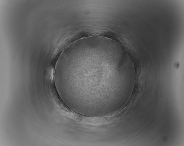 X0000112210041200908141508