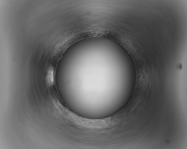 X0000112210042200908141508