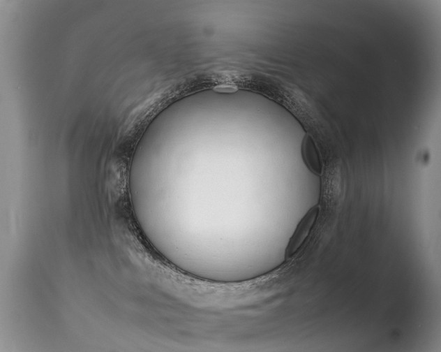 X0000112210043200908141508