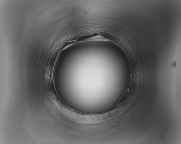 X0000112210044200908141508