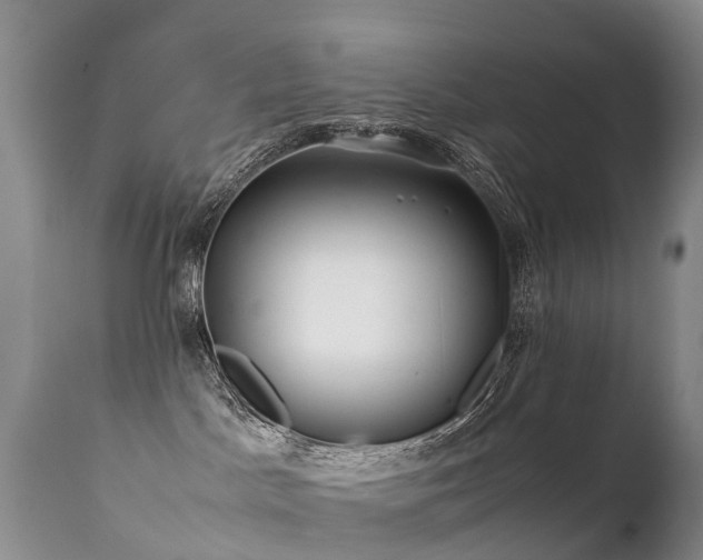 X0000112210045200908141508