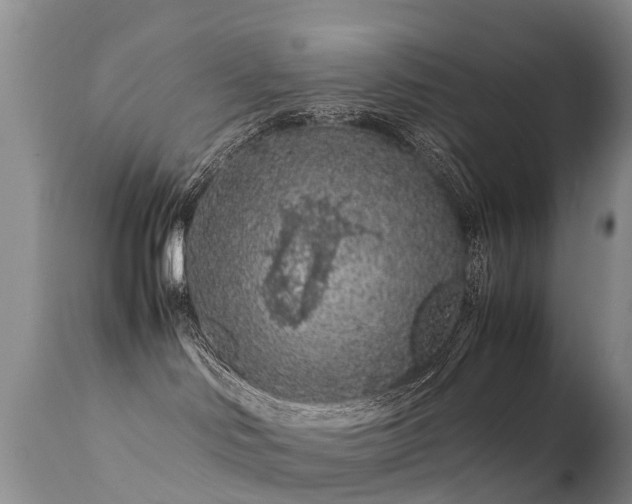 X0000112210046200908141508