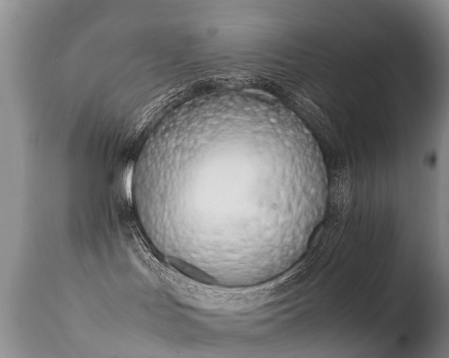 X0000112210047200908141508