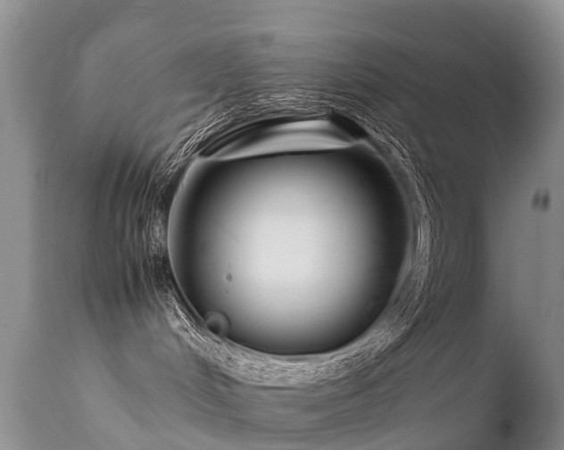 X0000112210048200908141508