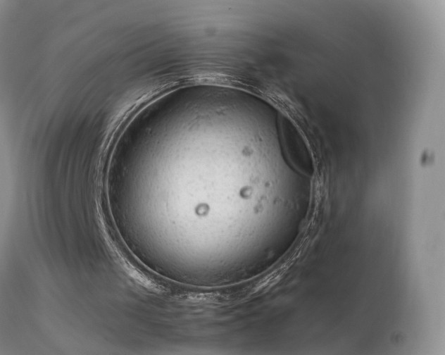 X0000112210049200908141508