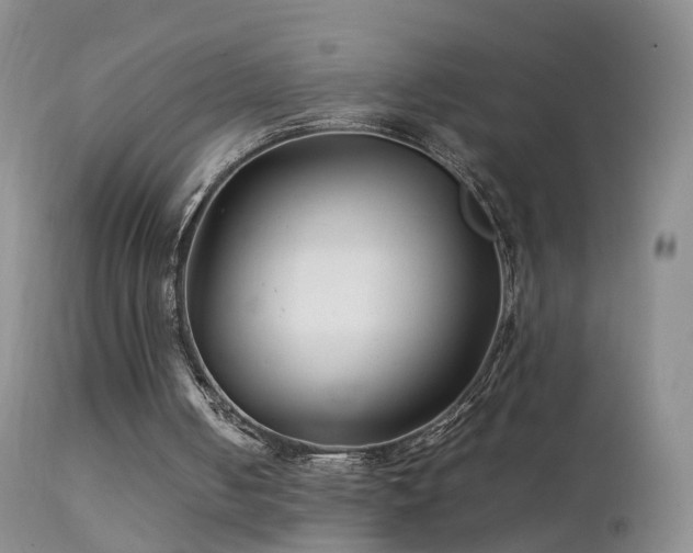 X0000112210050200908141508