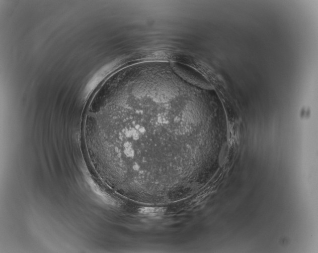 X0000112210051200908141508