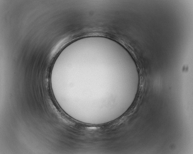 X0000112210053200908141508