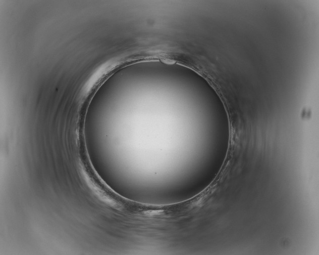 X0000112210054200908141508