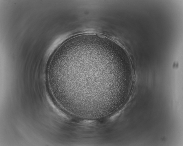 X0000112210055200908141508