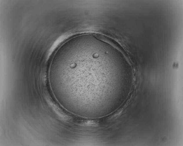 X0000112210056200908141508