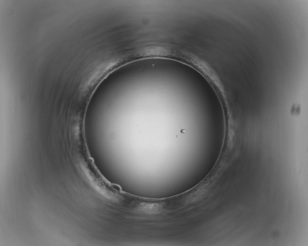 X0000112210057200908141508