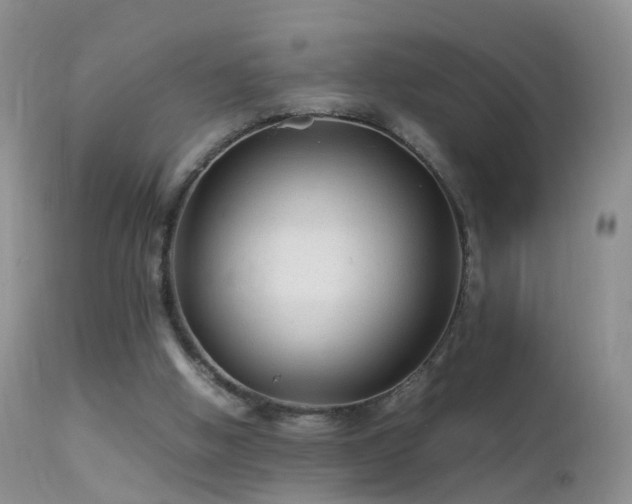 X0000112210058200908141508