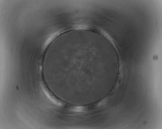 X0000112210059200908141508