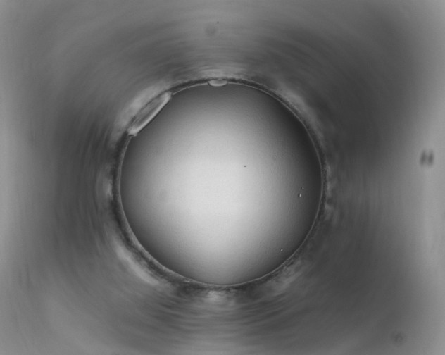 X0000112210060200908141508