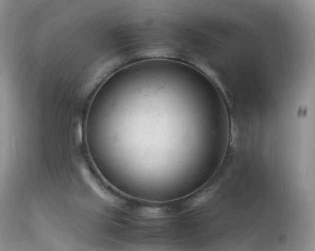 X0000112210061200908141508