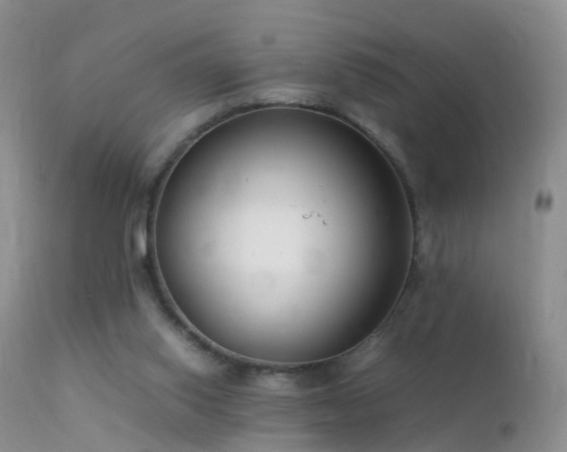 X0000112210062200908141508