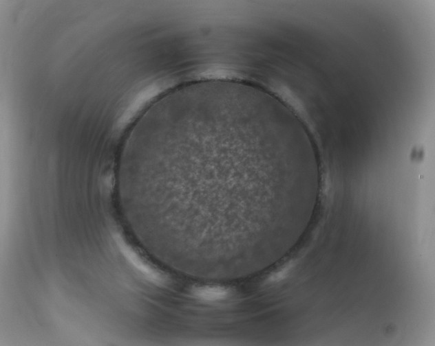 X0000112210063200908141508