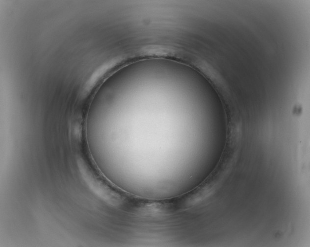 X0000112210064200908141508