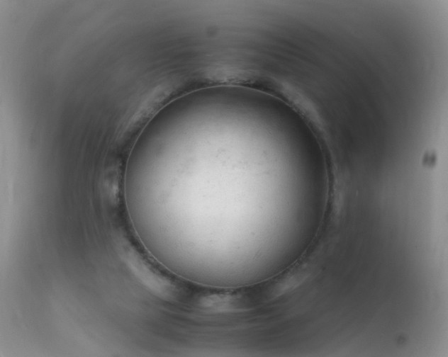 X0000112210065200908141508