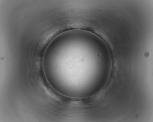 X0000112210066200908141508