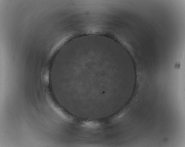 X0000112210067200908141508