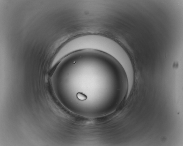 X0000112210068200908141508