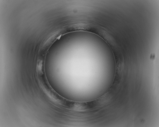 X0000112210070200908141508