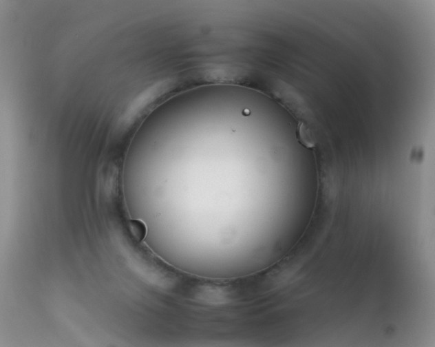 X0000112210071200908141508